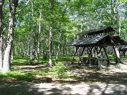 2004-07-02-中標津緑ケ丘森林公園キャンプ場