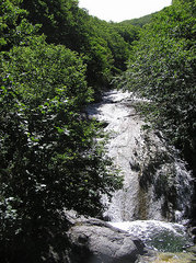 2004-07-03-カムイワッカ湯の滝入口方面
