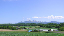 2005-06-18-東山かのら富良野岳
