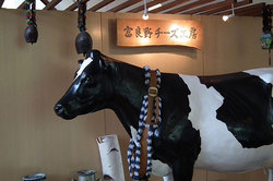 2012-05-19-富良野チーズ工房