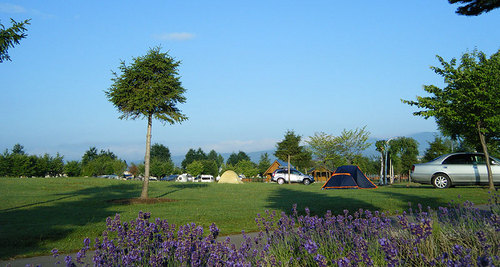 2012-07-17-日の出公園キャンプ場の朝