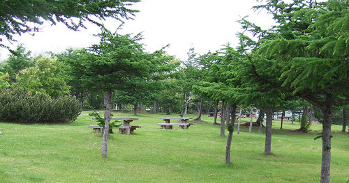 20008-06-08-稚内森林公園キャンプ場　その１