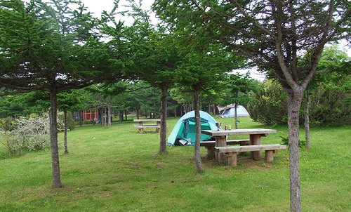 2008-06-08-稚内森林公園キャンプ場　その２