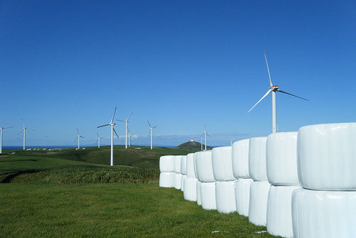 2013-09-22-宗谷丘陵　風力発電風車の下で