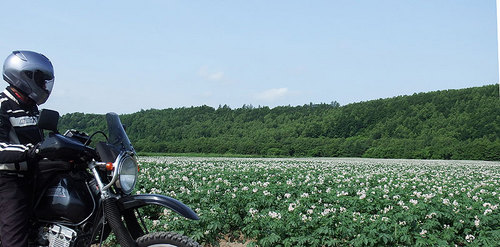 2014-07-18-小清水町のジャガイモ畑を眺める