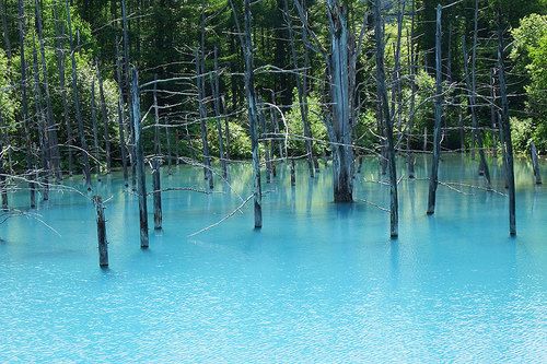 2015-07-10-青い池
