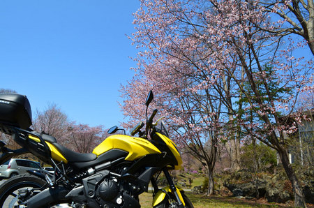 2016-05-01-有珠善光寺の桜とバイク