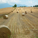2011年上富良野町の牧草ロール