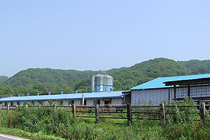 直営牧場の武田牧場