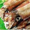 松前産　ヤリイカ