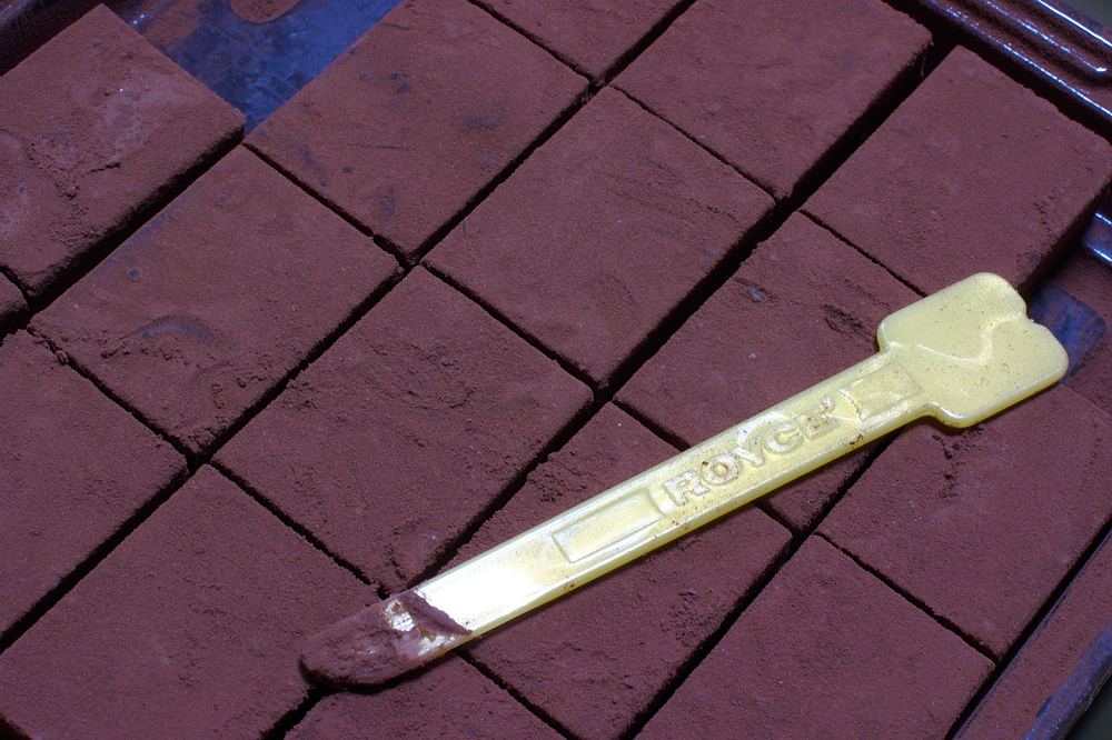 ロイズ生チョコレートメイン画像