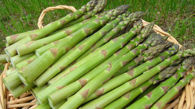 北海道産グリーンアスパラ