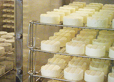 １階のチーズ工場