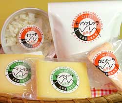 白糠酪恵舎のチーズ5点セット