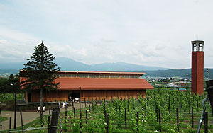 富良野市 カンパーナ六花亭