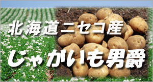 北海道ニセコ産じゃがいも男爵