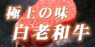 北海道の黒毛和牛　白老牛肉
